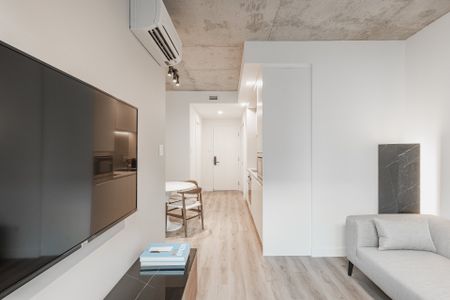 Condo à louer, Montréal (Ville-Marie) - Photo 4