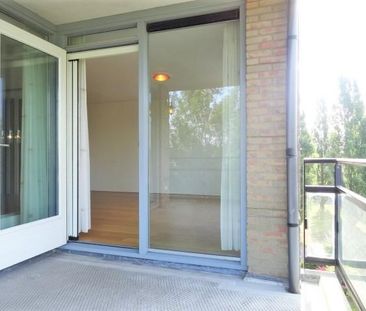 Walter Kollolaan - Photo 4