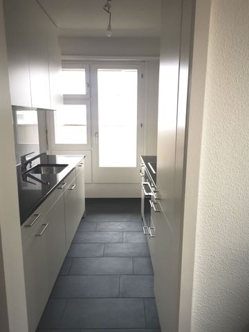 Gigantic roof terrace with a view over Birsfelden and Basel - Photo 3