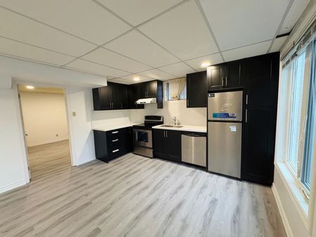 For Lease - 33 Somerset Crescent Unit# Basement, Richmond Hill, Ontario - Photo 3