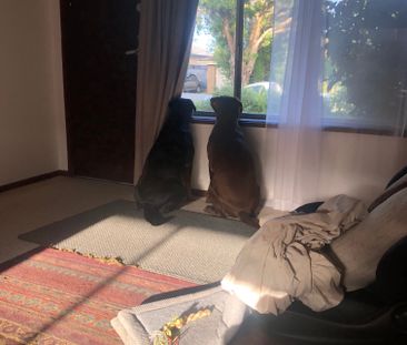 Cranbourne - Photo 2