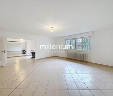 Duplex 5 pièces avec vue dégagée à Plan-les-Ouates - Photo 5