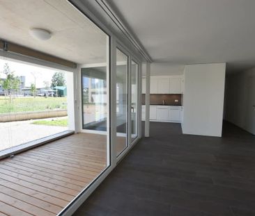2.5 Zimmer, 62 m², EG - Foto 1