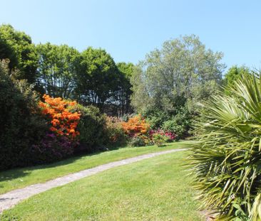 West Hill, Ottery St. Mary - Photo 4