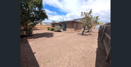 Superbly Located, Fully Renovated 4-Bedroom Gem in Belmont - Photo 2