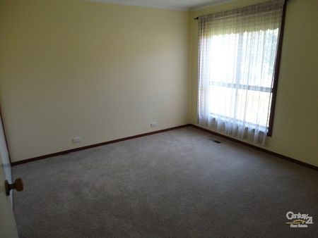 Quiet Location, All the Amenities! - Photo 2