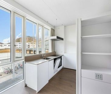 Living in Sihlhof 2 – Attention singles - Foto 4