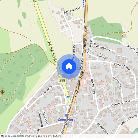 5703, Seon, Ziertalstrasse, 45