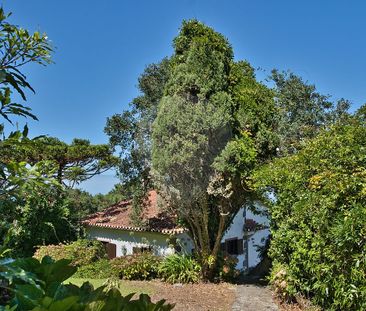 Moradia T2 em Lisboa - Photo 1