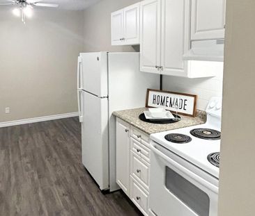 Tillson Apts 3 - ALL INCLUSIVE - Photo 2
