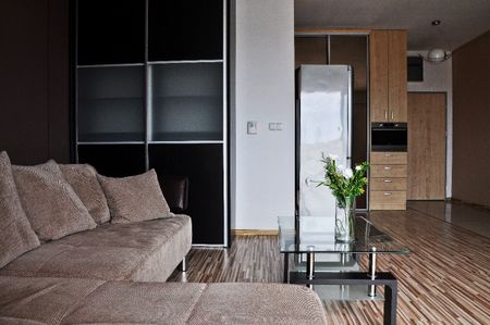 Kawalerka Poznań Wilda Green Point wynajem - Zdjęcie 2