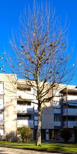 Quartier calme et verdoyant - Photo 4