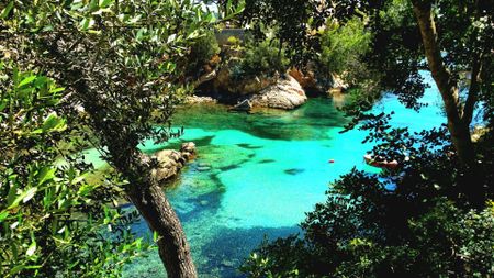 Apartamento de alquiler en Carrer Espiga, 9, Peguera - Photo 2