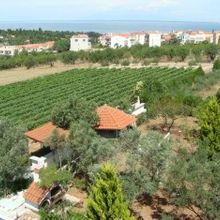 Διαμέρισμα για ενοικίαση - Θερμαϊκός, - Photo 1