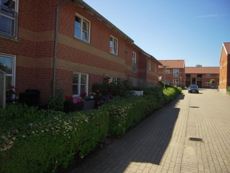 Thorupsgade 1 st. nr. 1, 7800, Skive - Photo 3