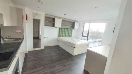 Premium Studio (Access) - Photo 4