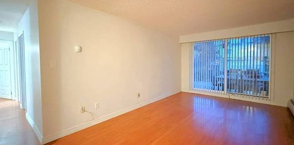 Spacious 1 bedroom 1 bathroom Downtown Maple Ridge - Photo 2