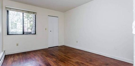 MCLEAN : One bedroom Apartment 2,100$ for October 1st - Photo 2