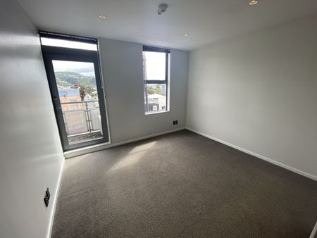Modern Living in Central Petone - Photo 5