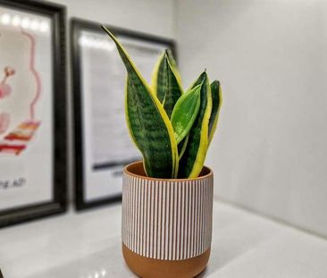 Hollins Lane, BL9 - Photo 4