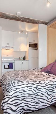 Loft entièrement meublé à louer Saint-Jean-Baptiste octobre 2025 - Photo 1