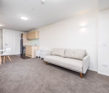 Sun-filled Apartment - Photo 2