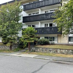 Cozy 1-Bedroom Apartment in Cherry Blossom Court - Photo 3