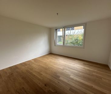 Moderne 2.5-Zimmer-Neubauwohnung im Herzen von Hirschthal - Foto 1