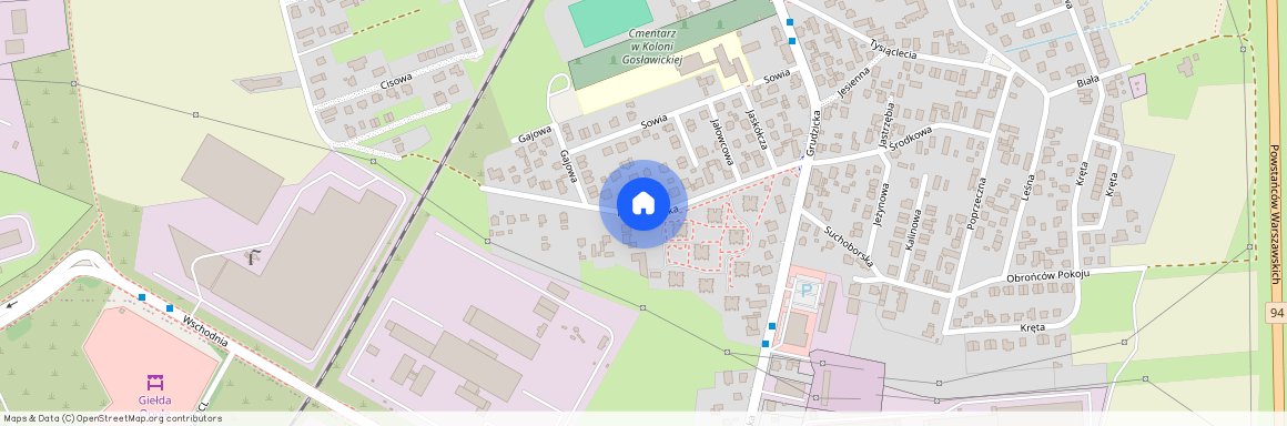 Kolonia Gosławicka, Nowowiejska, Opole