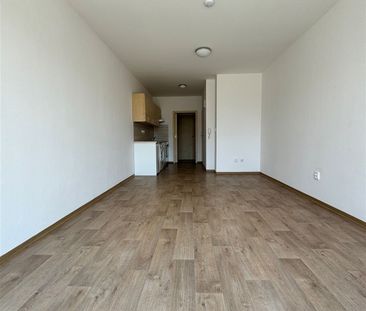 Pronájem bytu 1+kk a garsoniéry 30 m² - Fotografie 3