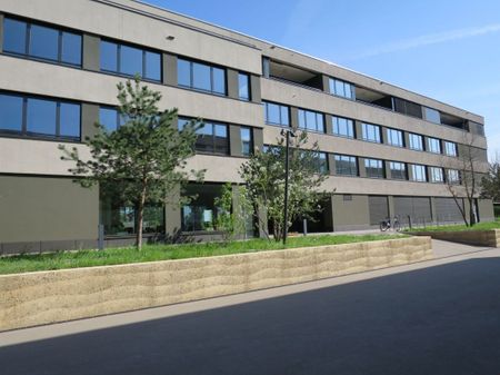 Lichtdurchflutete Wohnung in moderner Liegenschaft - Photo 3