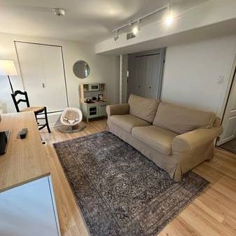 FURNISHED Kitsilano Basement Suite - Photo 4