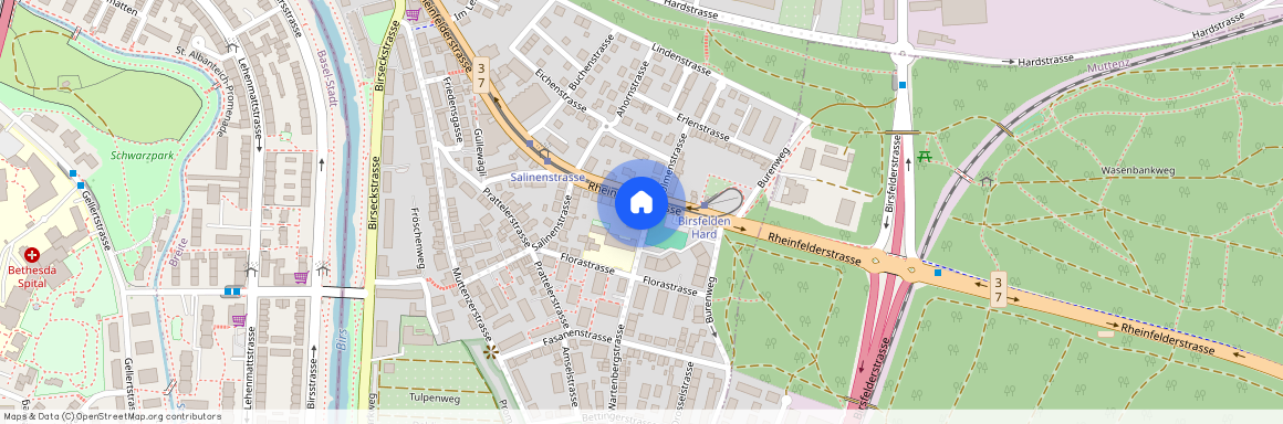 Wartbergstr, 51, 4127 Birsfelden