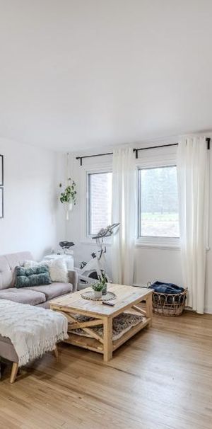 Appartement 3 ½ à louer Sainte-Foy / Sillery juillet 2026 - Photo 1