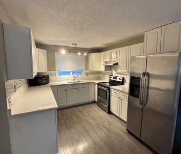 Cozy 2 bed 1 Bath Main floor — 2 Bedrooms Main Floor - Photo 1