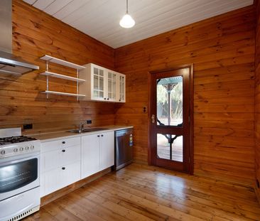 Small in Size, Big on Character - Photo 4