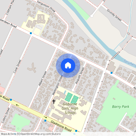 8 Wellington Street, Te Hapara, Gisborne