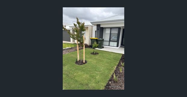 ONLY 3 MONTHS OLD - Photo 1