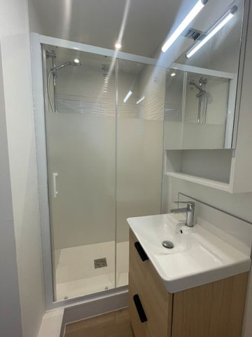 Location Appartement 1 pièce 16m² RENNES 35700 - Photo 4