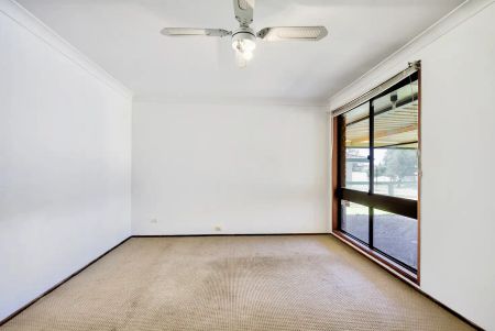 “Easy Living” - Photo 5