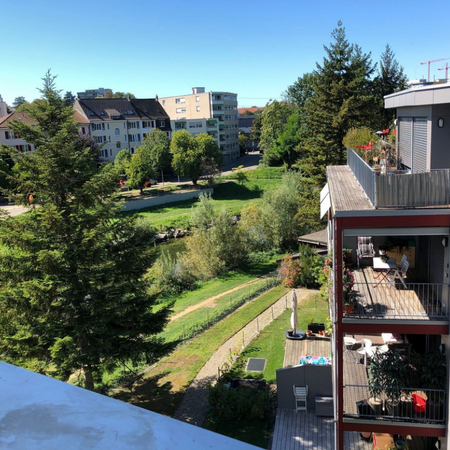 Wohnung mit schöner Aussicht und Gemeinschaftsgarten an der Birs! - Photo 4