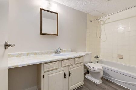 Renovated Suite - 2 Bedroom - Photo 2