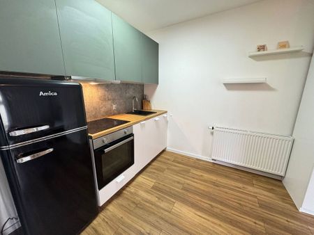 (Symbol 439252) MIESZKANIE na WYNAJEMSzczecin, Centrum Na wynajem kawalerka Jasne Błonia - Zdjęcie 5