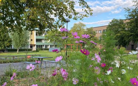 Hålsjögatan 43, Bellevuegården - Photo 2