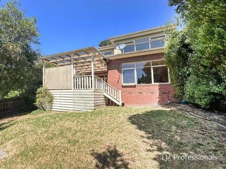 61A Woodhouse Road, Donvale VIC 3111 - Photo 5