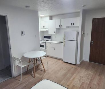 1 1/2 - Sherbrooke - $725 /mois - Photo 3