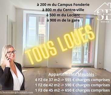 F2 et F3 meublés refaits à neuf à 200 m du Campus Fonderie - Photo 3