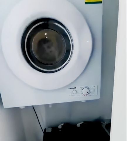 2 bed 2 bath - Photo 3