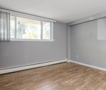 Classic Suite - 1 Bedroom - Photo 2