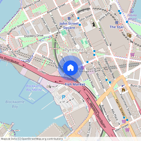 U/280 Jones Street, Pyrmont, NSW 2009